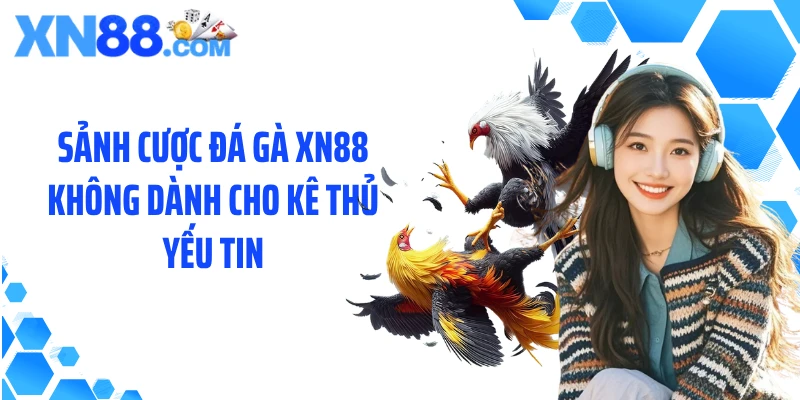 Sảnh cược đá gà XN88 không dành cho kê thủ yếu tin