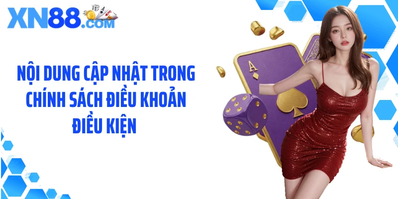 Nội dung cập nhật trong chính sách Điều khoản điều kiện 